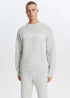 The Sting Gebreide trui met logo<Heren Truien En Vesten