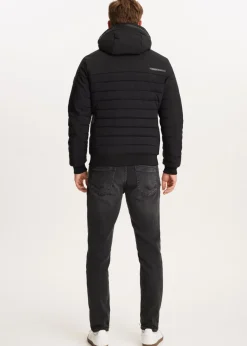 The Sting Softshell jas<Heren Jassen