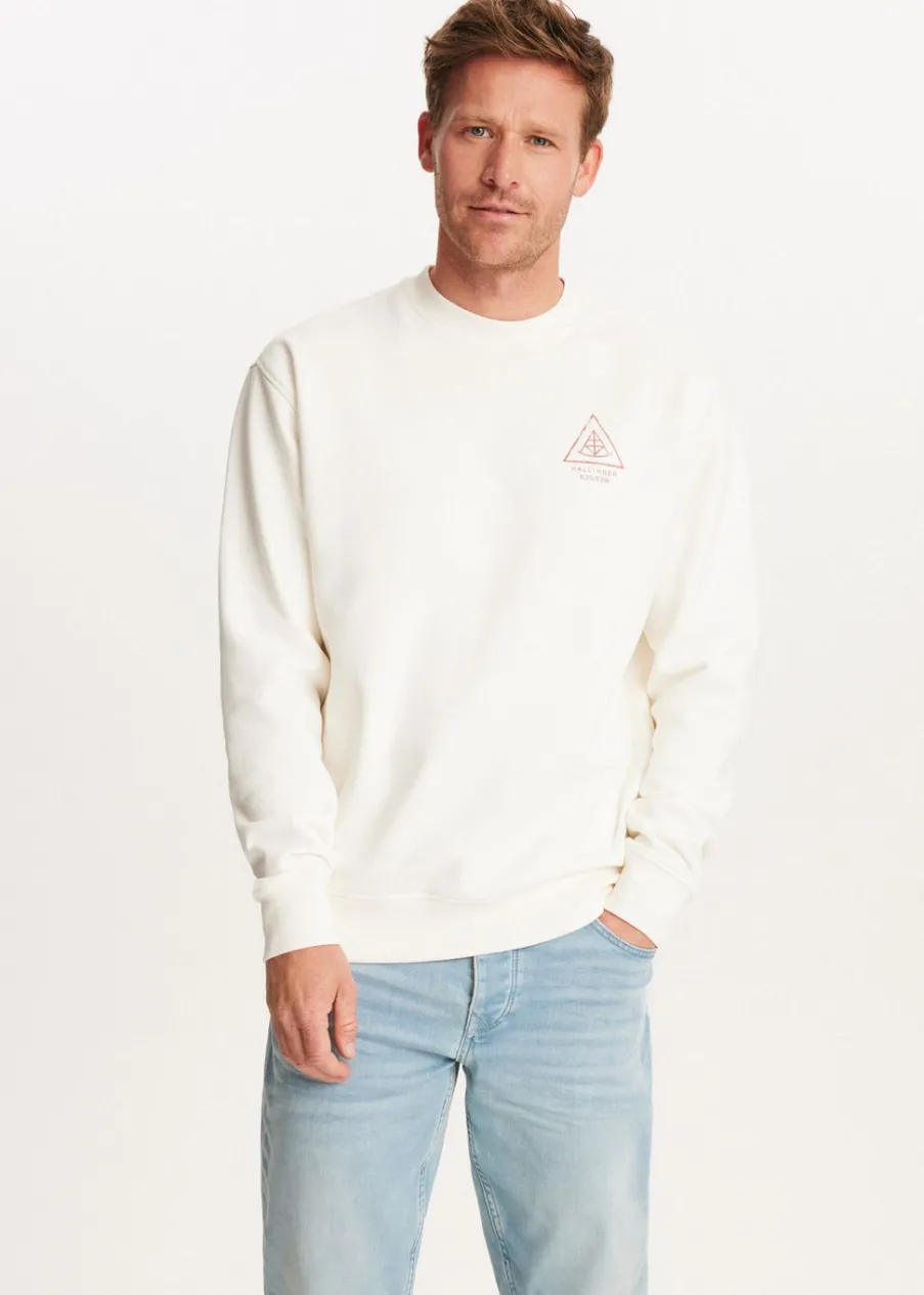 The Sting Sweater met print driehoek<Heren Sweaters En Hoodies