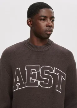 The Sting Trui met jacquarddetail<Heren Truien En Vesten